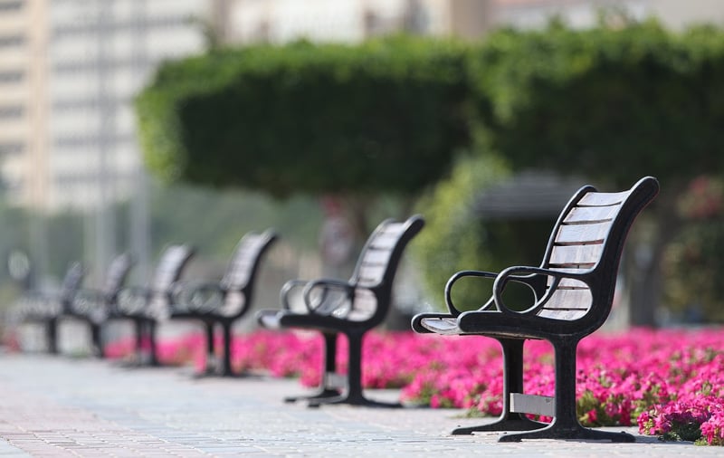 Peaceful Park