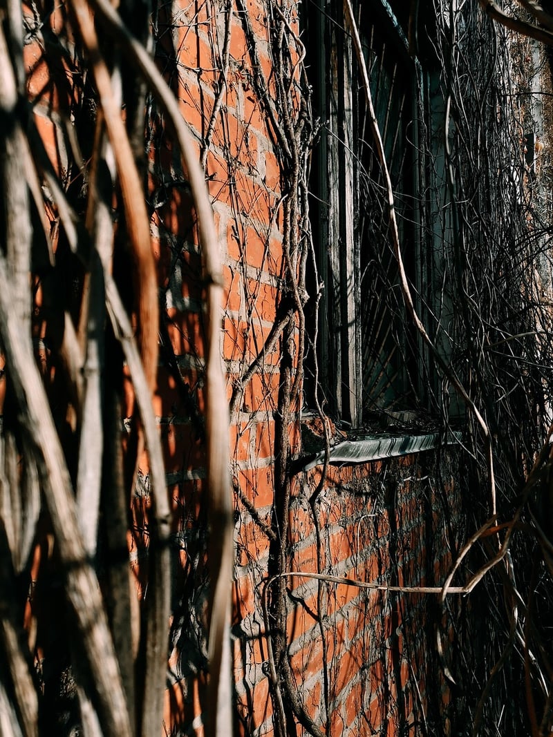 Urban Exploration